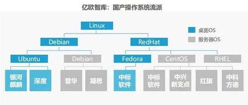 缺少灵魂 为什么我说中国软件不行